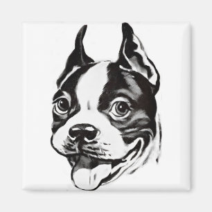 El imán de Boston Terrier