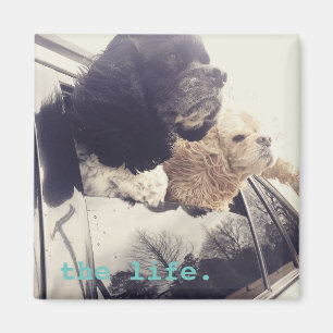 el imán de la buena vida