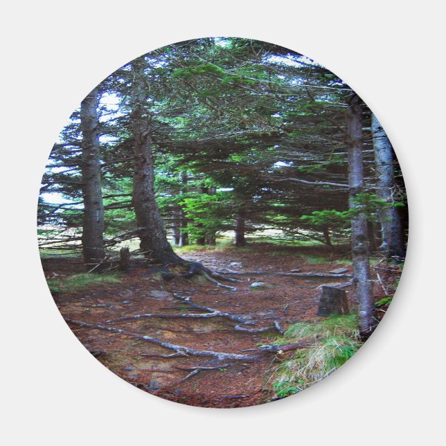 El imán de la escalera de la naturaleza (Frente)