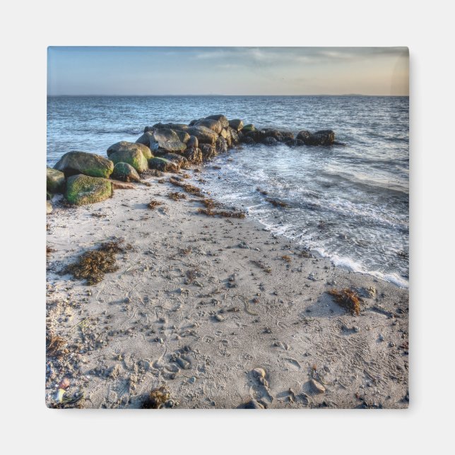 El imán de la playa (Frente)