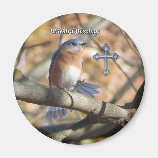 El imán de las bendiciones del pájaro azul del est (Frente)