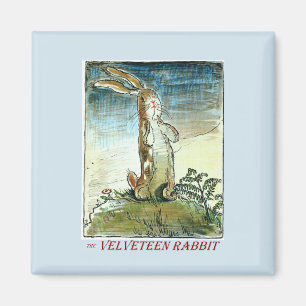 El imán de los conejos de terciopelo