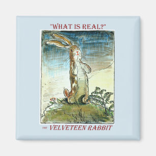El imán de los conejos de terciopelo