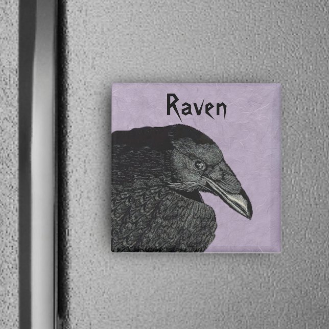 El imán de Raven (Head wing of black spooky Raven bird on marbled purple square magnet.)