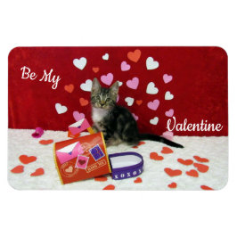 El imán de San Valentín de Bandit (Gato/ Gatito)