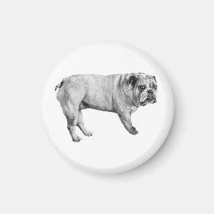 El imán del Bulldog vigilante