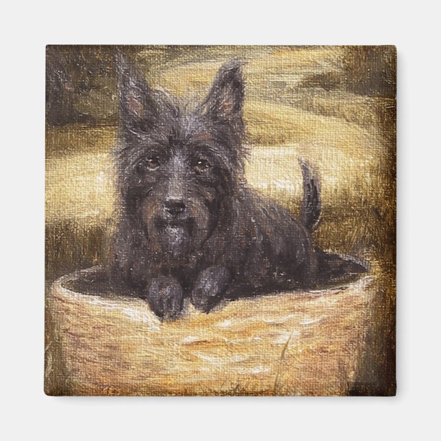 El imán del compañero fiel (Frente)