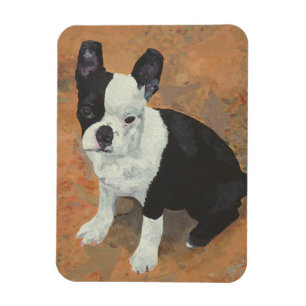 El imán espiritual de Maggie