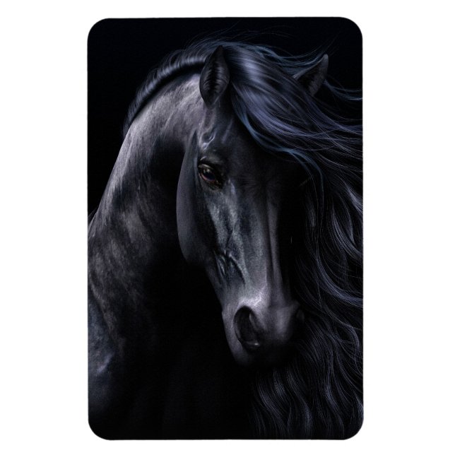 El imán flexi Black Premium (Vertical)