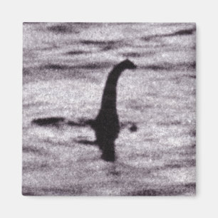 El imán fotográfico del cirujano