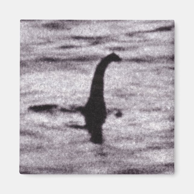 El imán fotográfico del cirujano (Frente)