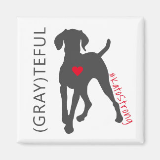 El imán Kato Strong