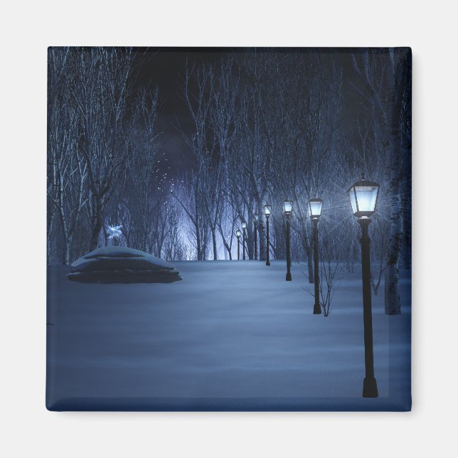 El imán ligero de la tontería (Frente)