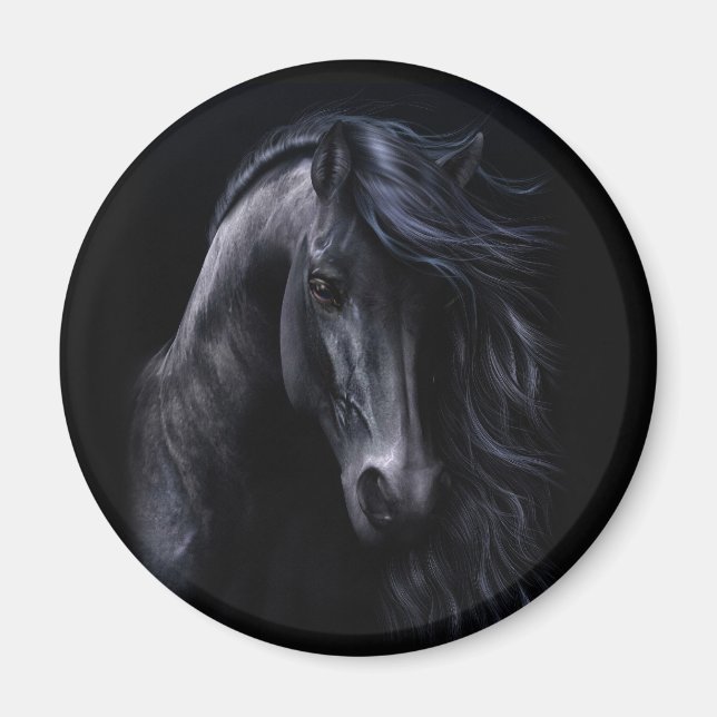 El imán negro (Frente)