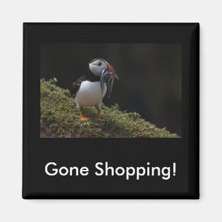 El imán Puffin, el pescador de compras desaparecid