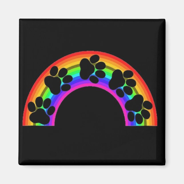 El imán recorre el arcoiris (Frente)