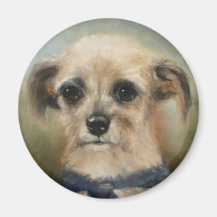 El imán sin hogar de Terrier