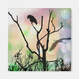 El imán solitario del cuervo