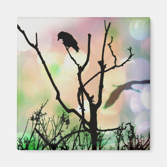 El imán solitario del cuervo (Frente)