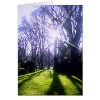 El invierno en los jardines Fitzroy