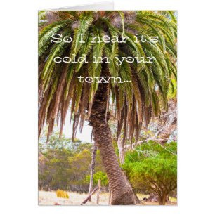 El invierno toma el pelo