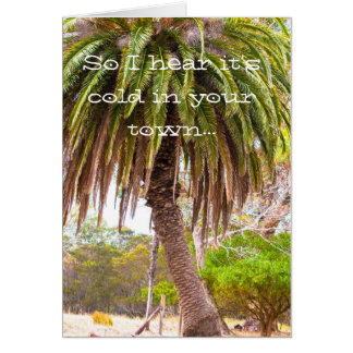 El invierno toma el pelo