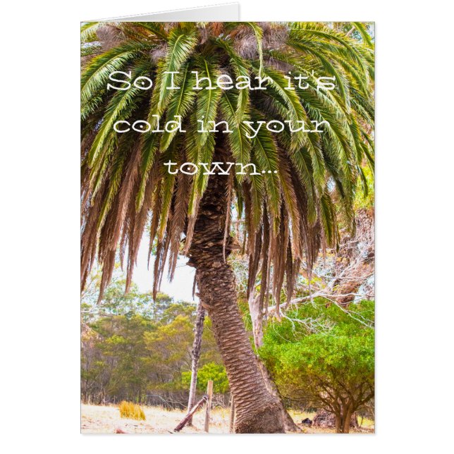 El invierno toma el pelo (Frente)