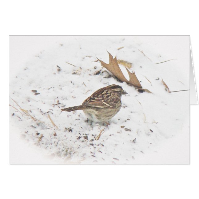 El invierno y el resplandor (Anverso (Horizontal))