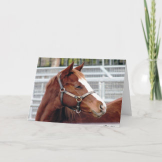 El "irse separando no cambia…" Tarjeta de la