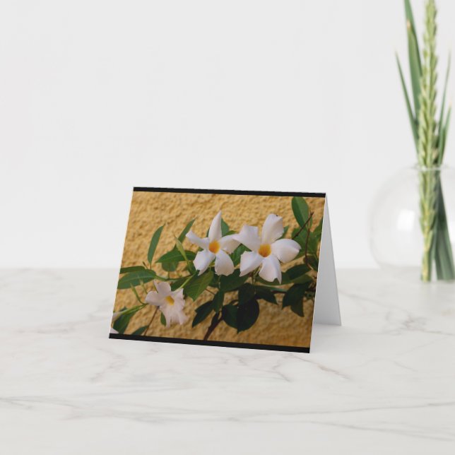 El italiano florece la tarjeta de nota (Anverso)