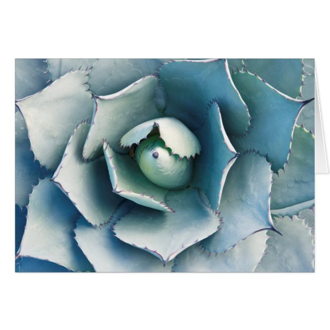 El Jardín Botánico Huntington (Anverso (Horizontal))