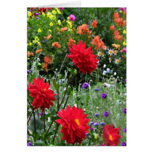 El jardín de la dalia florece la tarjeta de