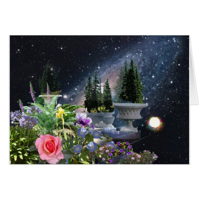 El jardín de Tommy (Anverso (Horizontal))