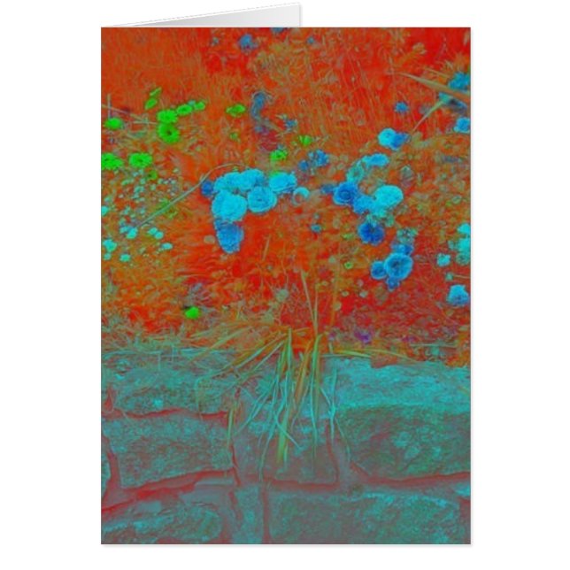 El jardín del abuelo (Frente)