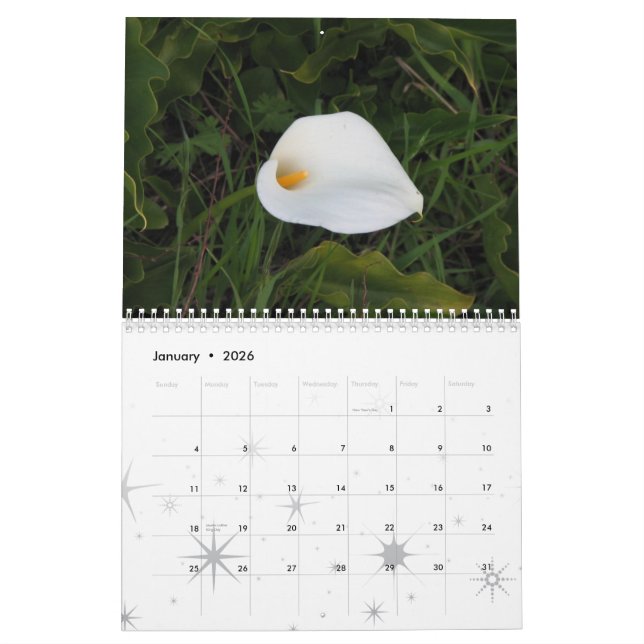 El jardín soña el calendario 2011 (Jan 2026)