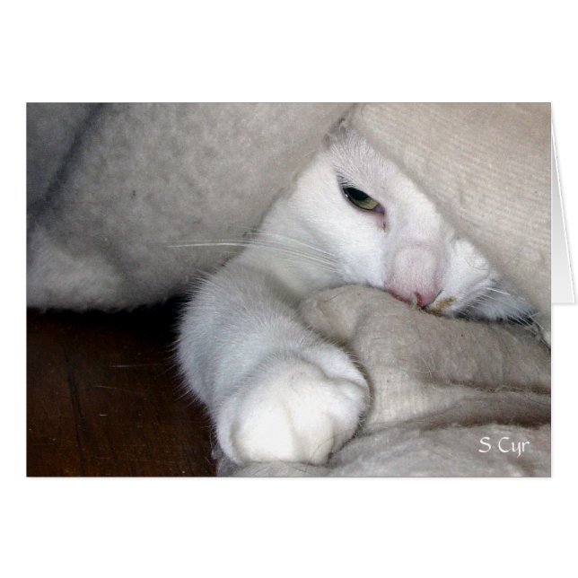 El juego abierto, S Cyr (Anverso (Horizontal))