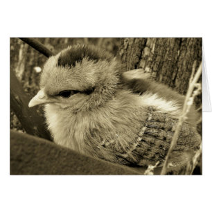 El juego de las chicas en el jardín