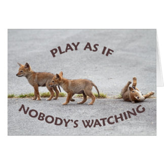 El jugar de los coyotes del bebé