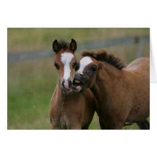 El jugar de los potros