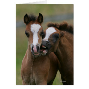 El jugar de los potros