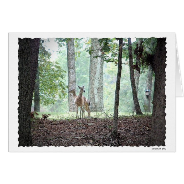 El jugar en las maderas (Anverso (Horizontal))