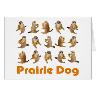 el juguete relleno del perro de las praderas