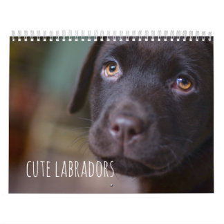 El labrador retriever persigue el calendario -