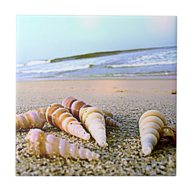 El lado de mar descasca la teja (Frente)