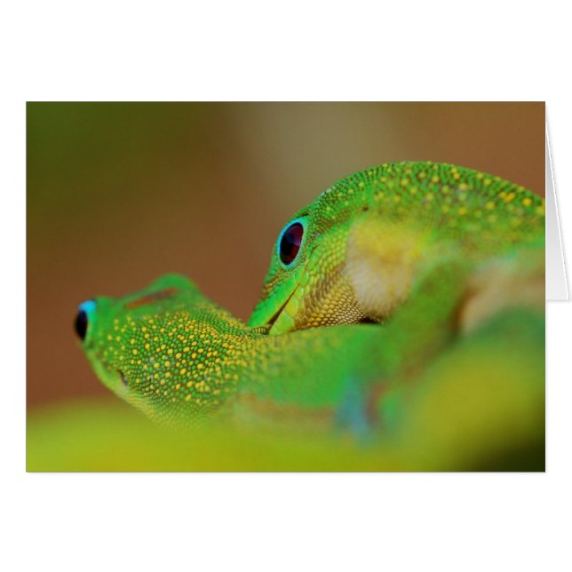 El lado salvaje encendió la diversión romántica (Anverso (Horizontal))