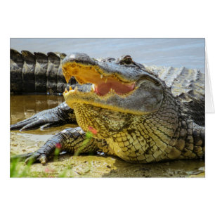 El lagarto. Cara a cara