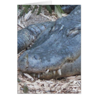 El lagarto en su hábitat natural