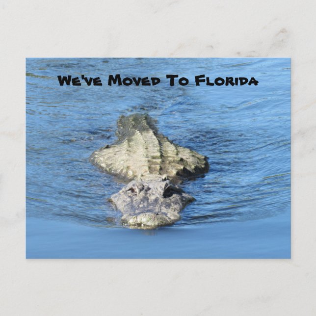 El lagarto se mudó a Florida - Nueva tarjeta posta (Anverso)