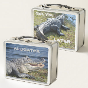 El lagarto te ve después vida silvestre fotográfic