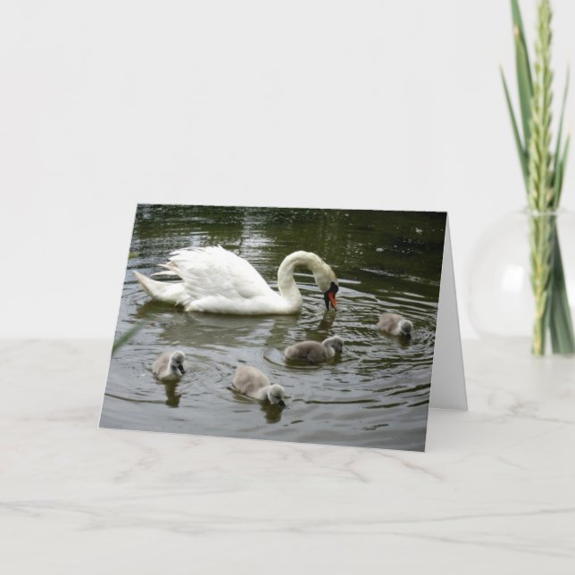 El lago Swan del Día de la Madre - Tarjeta (Anverso)